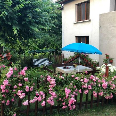 Guest house Emmy Trigrad Extérieur photo